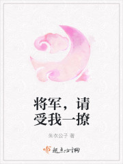 将军，请受我一撩